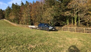 Tree surgeon Cornwall