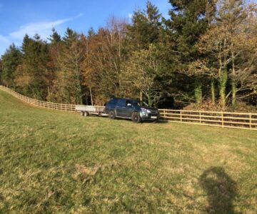 Tree surgeon Cornwall