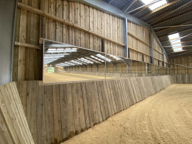 arena mirrors